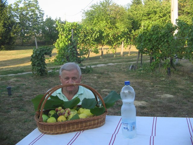 finnek 2011 023
